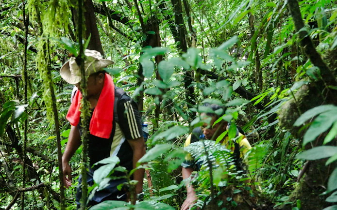 Bali Jungle Trekking, Canoeing & Waterfall Visit with Lunch and Round-Trip Hotel Transfers