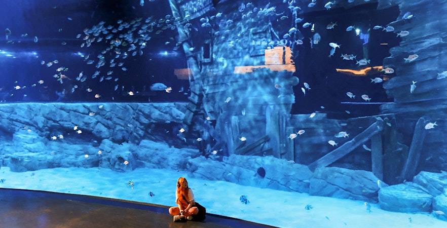 Lotte World Aquarium