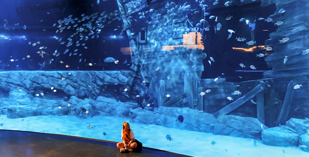 Lotte World Aquarium