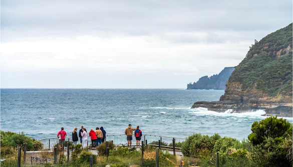 Visitors observing the coastline on Bruny Island during a full-day guided tour from Hobart.