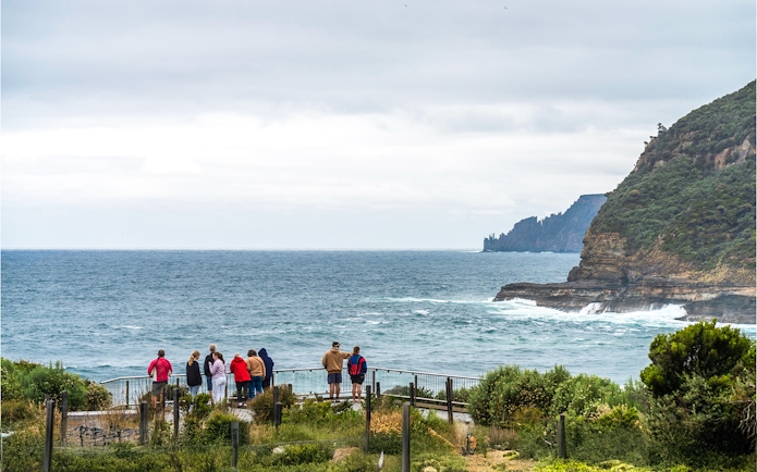Visitors observing the coastline on Bruny Island during a full-day guided tour from Hobart.