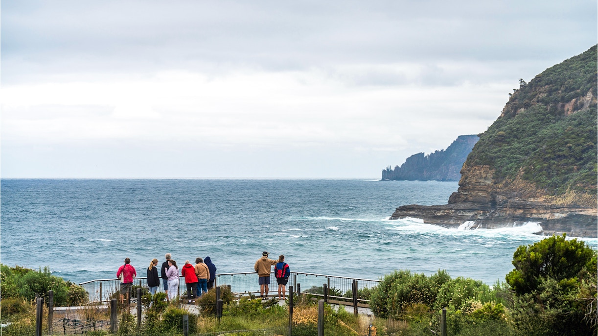 Bruny Island Tours