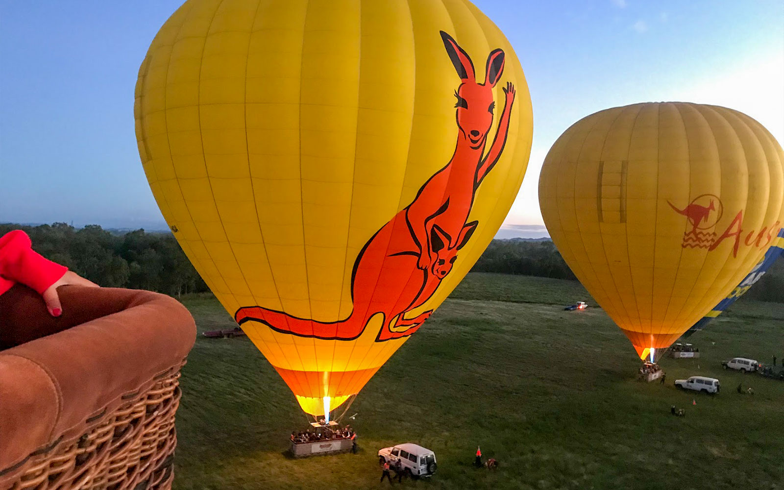 Hot air balloons with kangaroo design preparing for flight in Cairns, Australia.