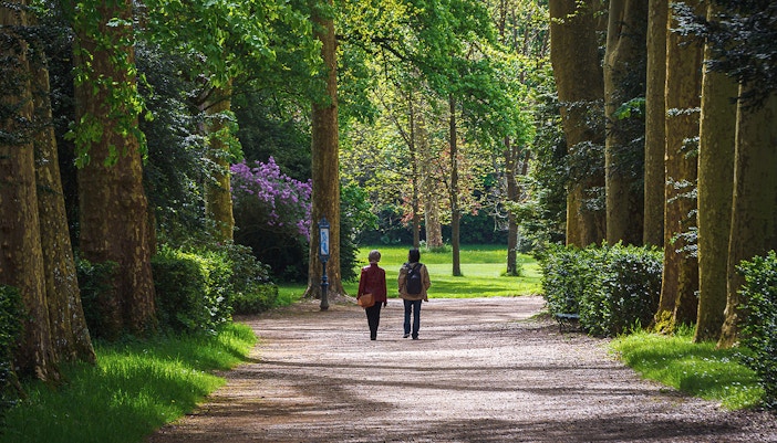 Fontainebleau Forest