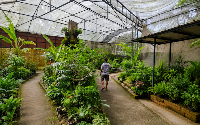 From Chiang Mai: Chiang Dao Cave and Hill Tribe Villages Tour