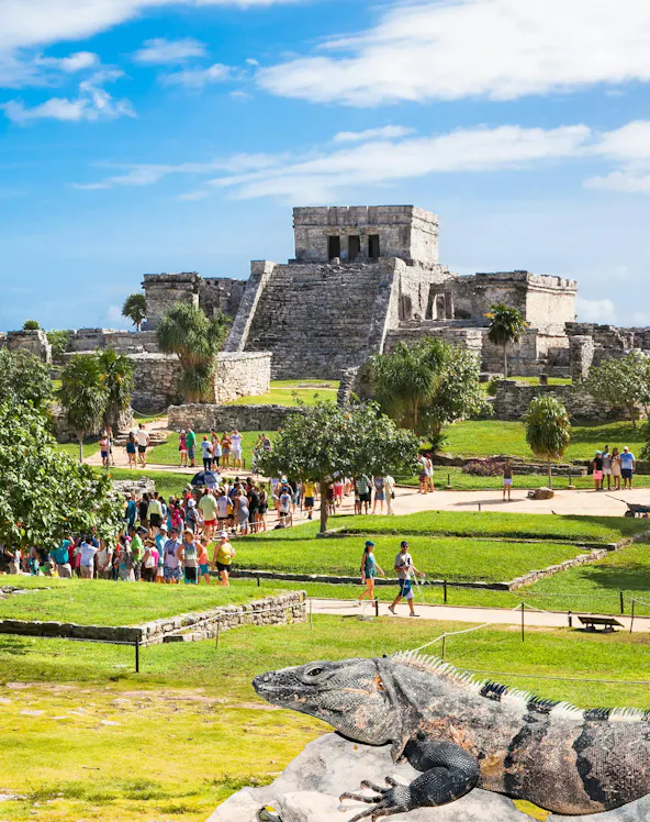 Iguana on ancient Tulum ruins with tourists in Mexico.