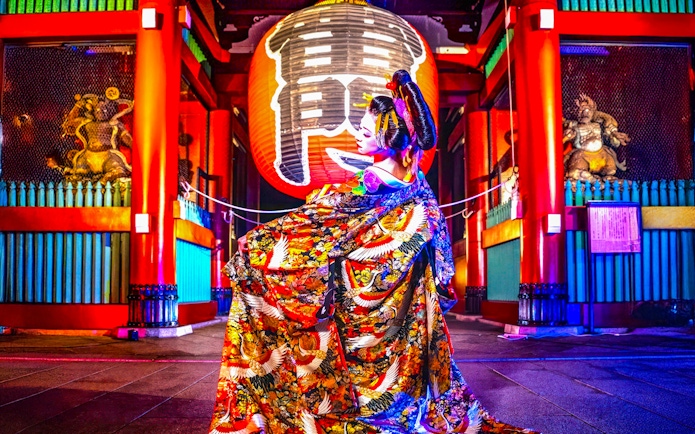 Performer in traditional attire at Japanese cabaret theatre, Tokyo.
