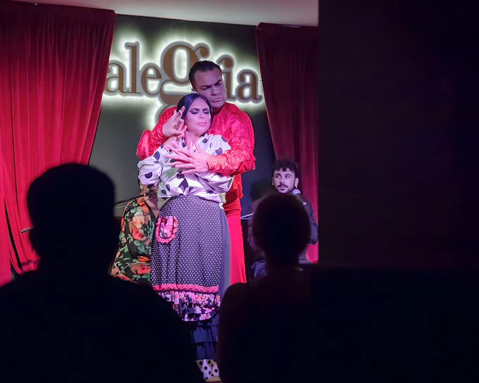 Alegría - Flamenco Show