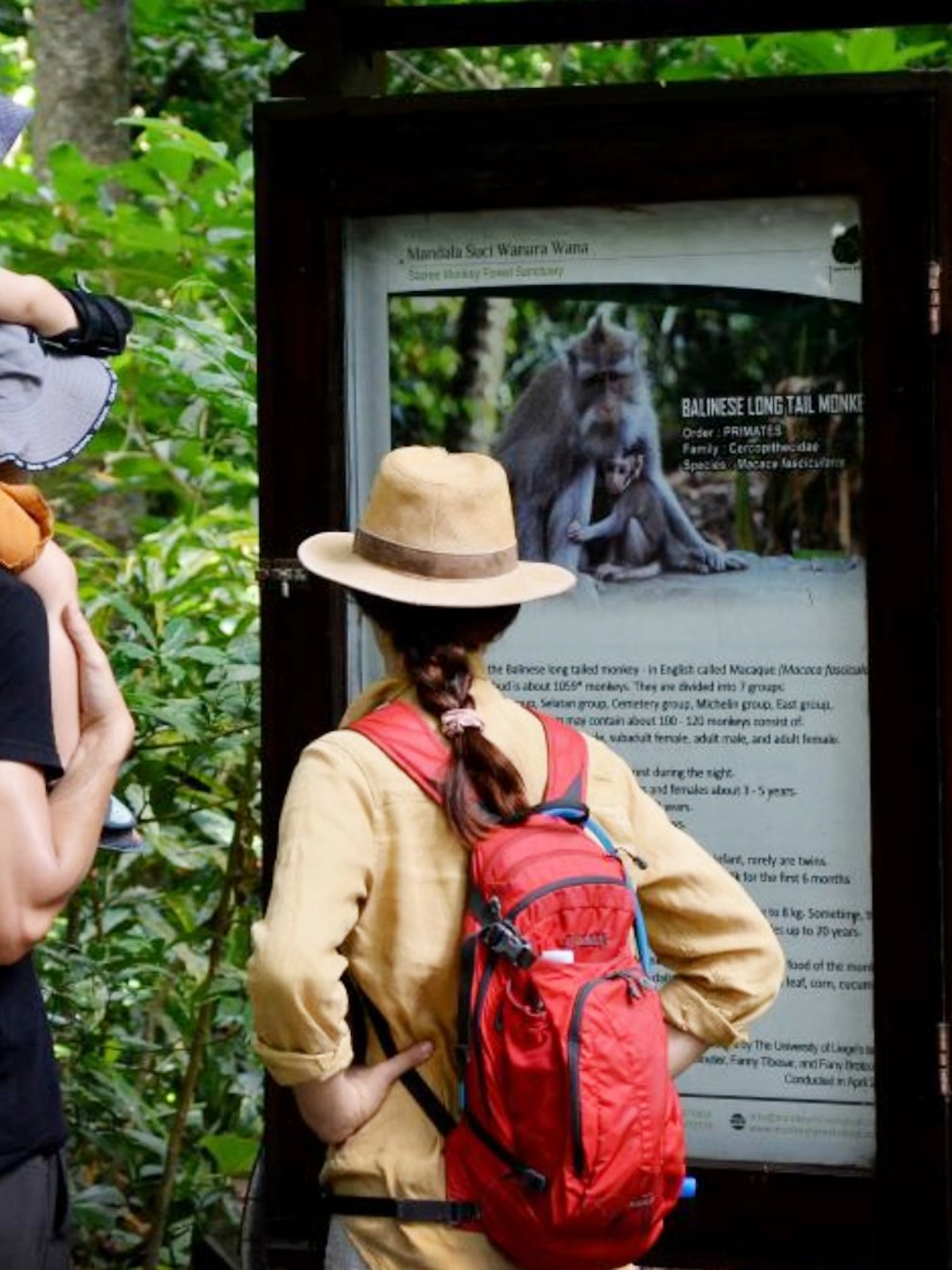 Visitors reading information board at Sacred Monkey Forest Ubud, surrounded by lush greenery.
