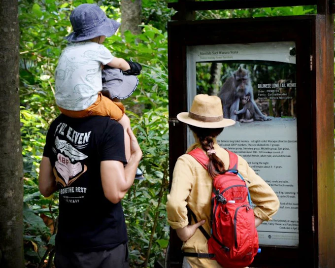 Sacred Monkey Forest Ubud Tickets