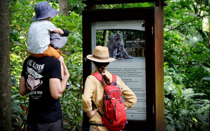 Visitors reading information board at Sacred Monkey Forest Ubud, surrounded by lush greenery.