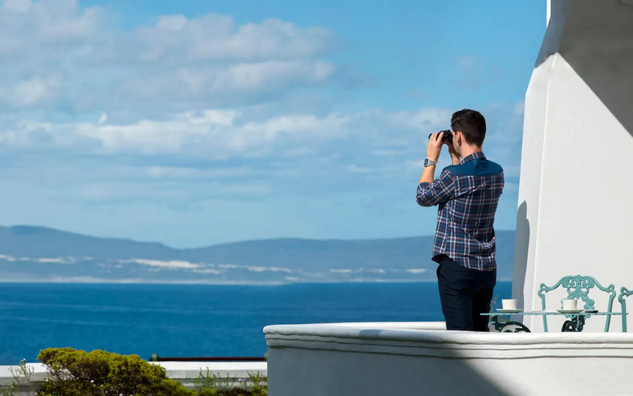 Whale Watching Boat Trip and Penguin Colony Visit with Hotel Transfers in Hermanus Image 9