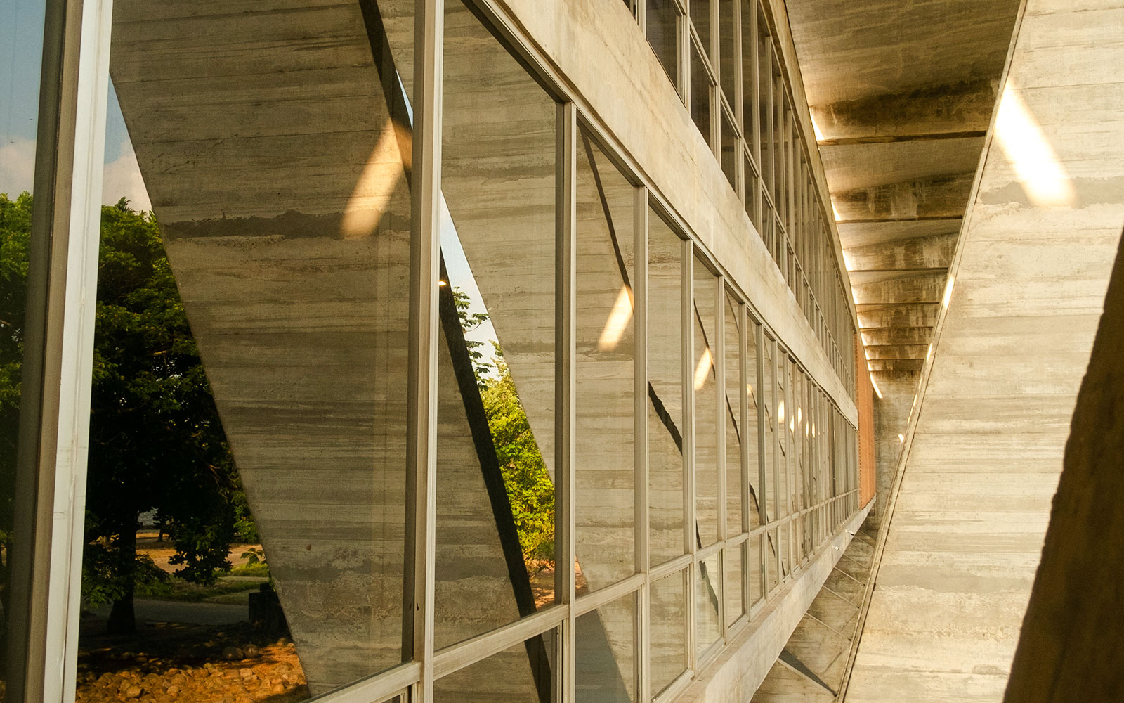 Museo de Arte Moderno (MAM)