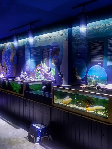 Aquarium exhibits at Vasco da Gama Aquarium showcasing marine life and seashore communities.