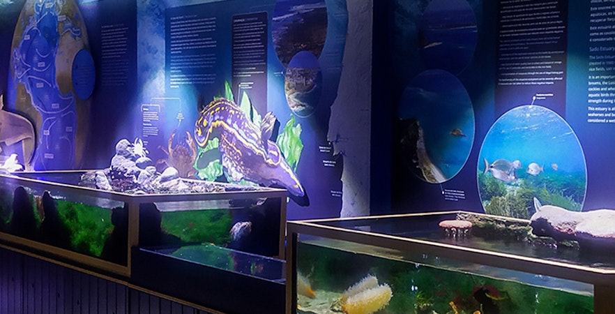 Acuario Vasco da Gama