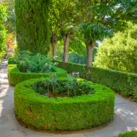 Alcazaba Granada Jardin de los Adarves