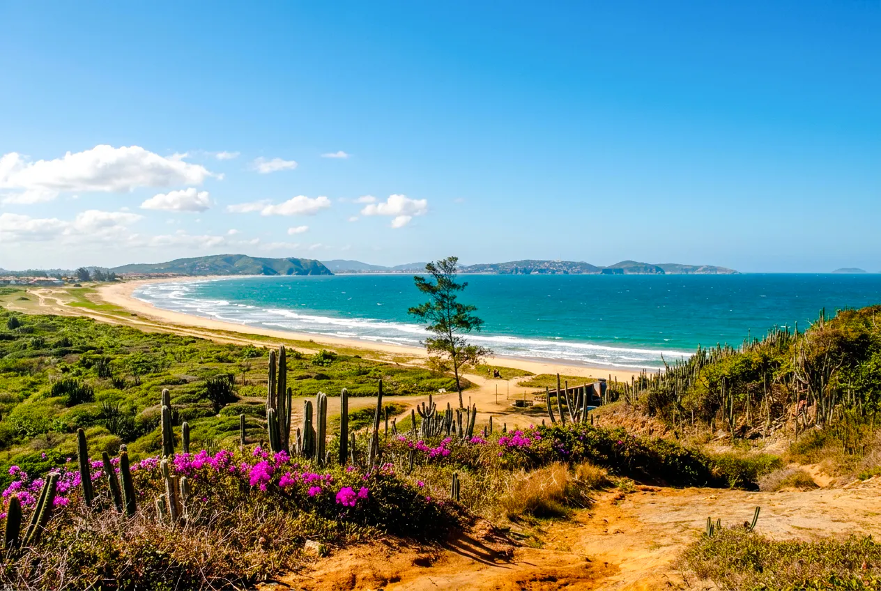 Trail view with cacti and flowers overlooking the ocean and beach, Telegraph Stone, Rio de Janeiro.