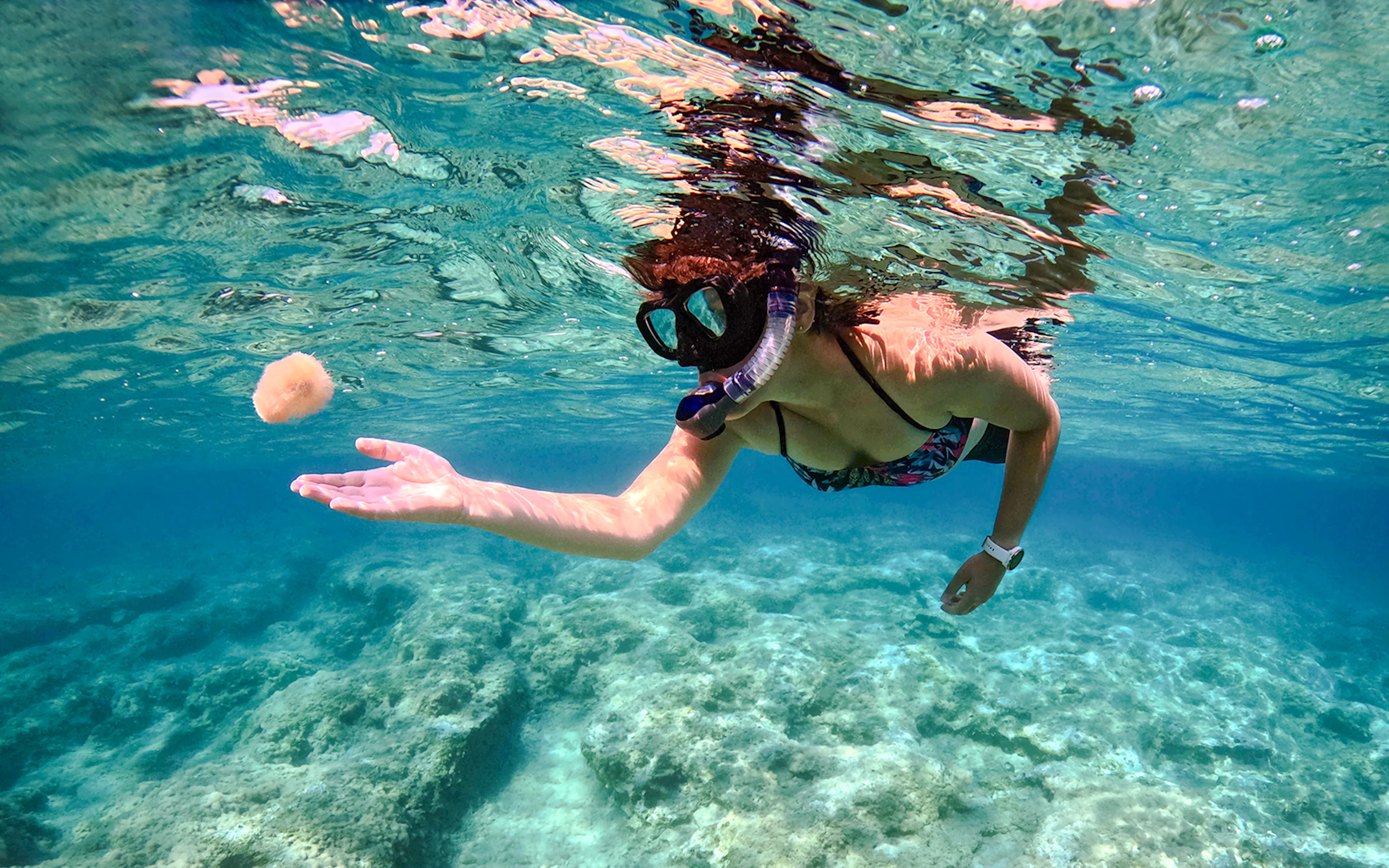 Snorkeler exploring underwater near Zakynthos Turtle Island on Keri Caves tour.