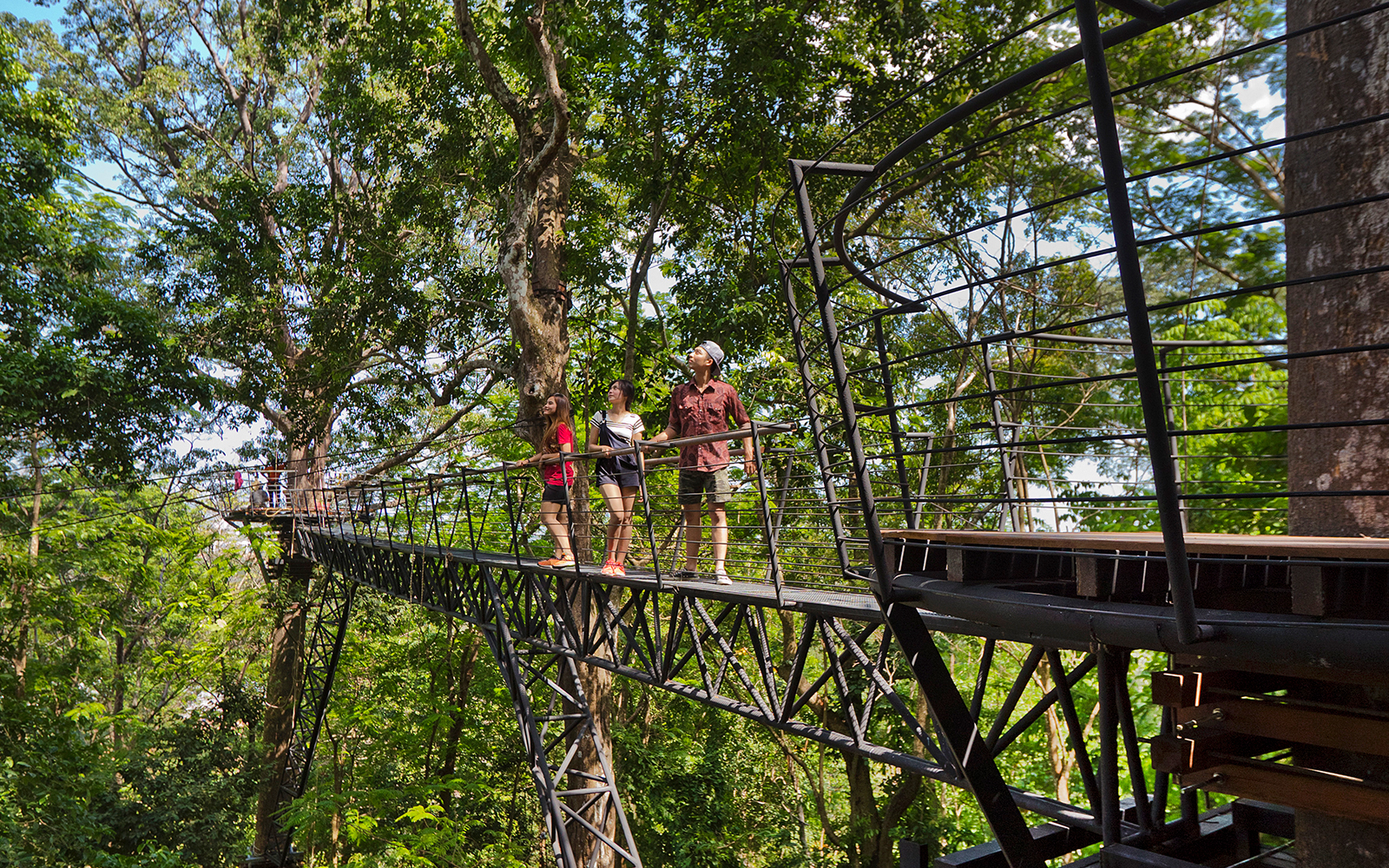 Family walking on treetop walkway at Hanuman World, Phuket.