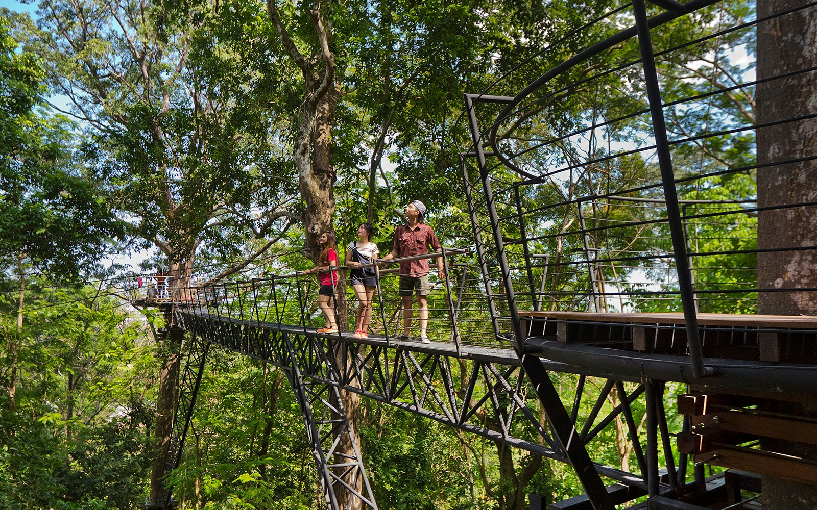 Family walking on treetop walkway at Hanuman World, Phuket.
