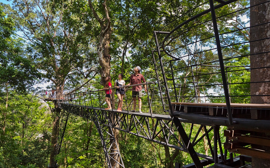 Family walking on treetop walkway at Hanuman World, Phuket.
