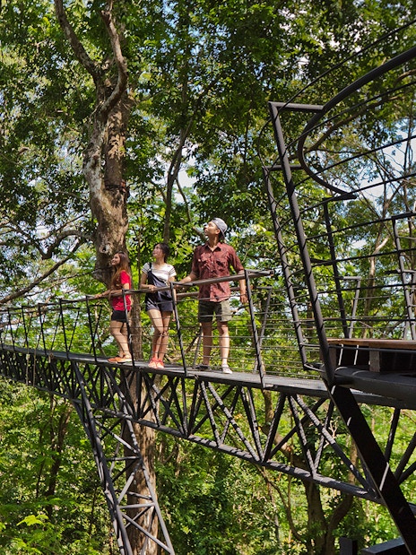 Family walking on treetop walkway at Hanuman World, Phuket.