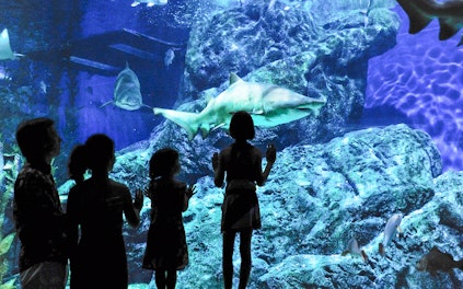 Intrarea principală