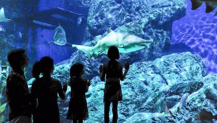 Niagara Falls Itinerary