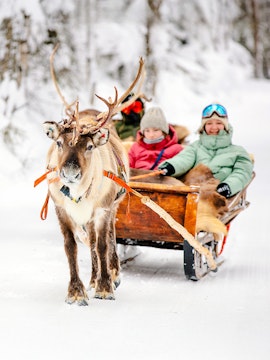 Reindeer pulling a sled with people through snowy forest in Rovaniemi.