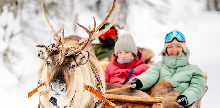 Reindeer pulling a sled with people through snowy forest in Rovaniemi.