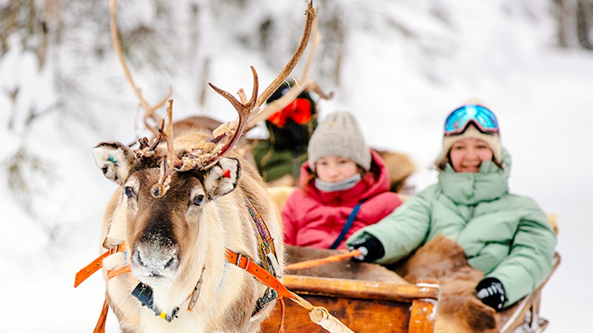 Reindeer pulling a sled with people through snowy forest in Rovaniemi.