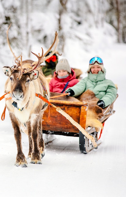 Reindeer pulling a sled with people through snowy forest in Rovaniemi.