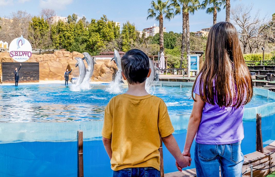 Dolphins performing at Selwo Marina, Skip-the-Line Tickets available.