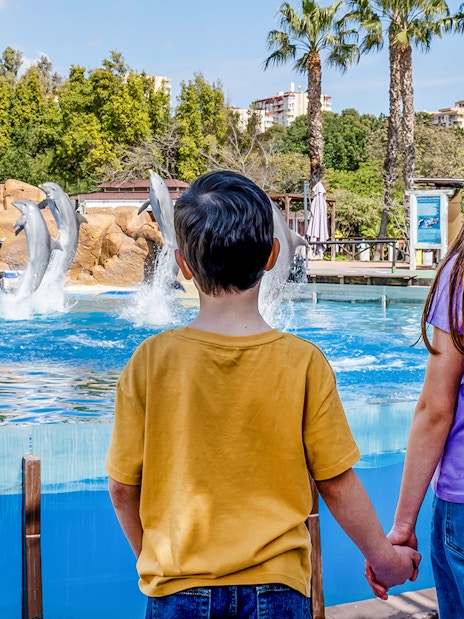Dolphins leaping in a pool at Selwo Marina with children watching.