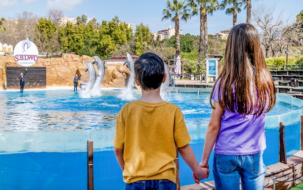 Dolphins leaping in a pool at Selwo Marina with children watching.