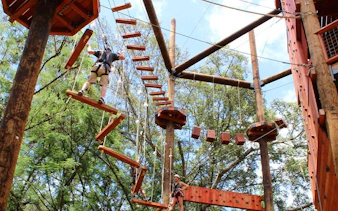 Adventure course with climbers on an 18-obstacle course, featuring a climbing wall and ropes.
