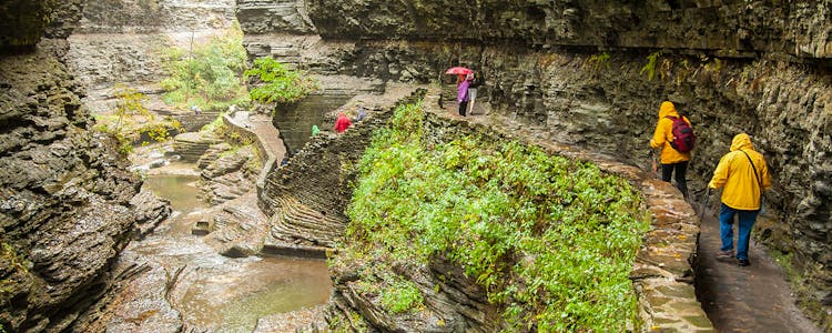 Watkins Glen State Park Ticket