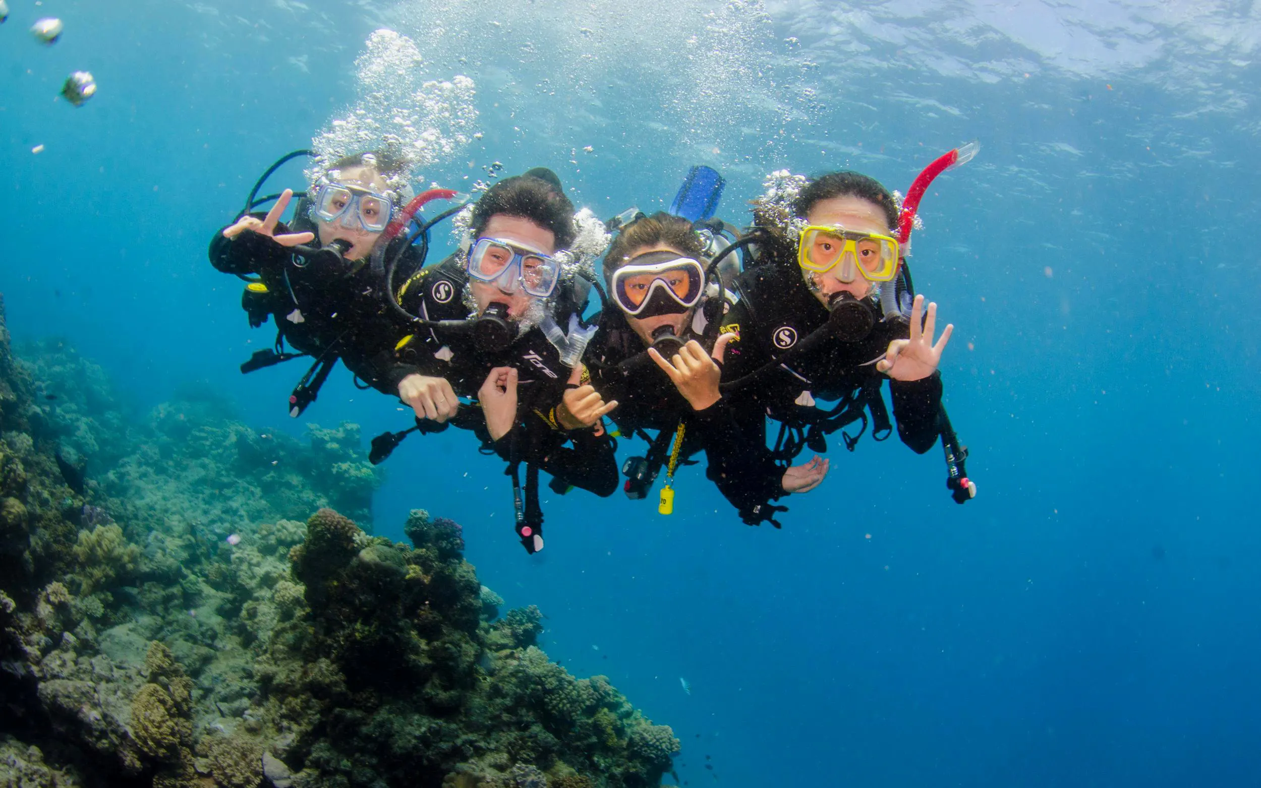 Divers exploring coral reef during PADI course, Great Barrier Reef.