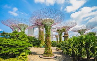 Singapore In December - Gardens By The Bay
