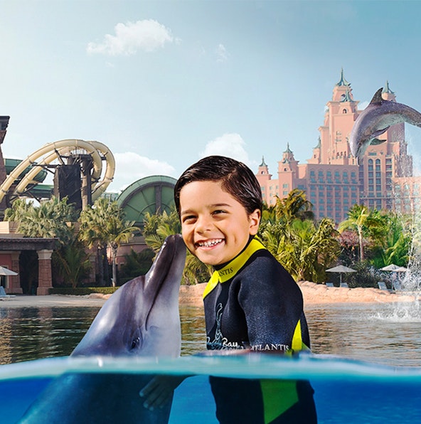 Swim With Dolphins And Make Memories In Dolphin Bay Dubai
