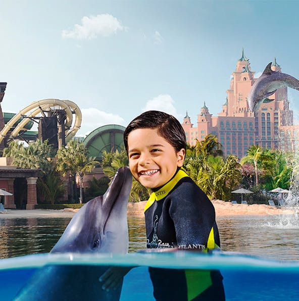 Swim With Dolphins And Make Memories In Dolphin Bay Dubai