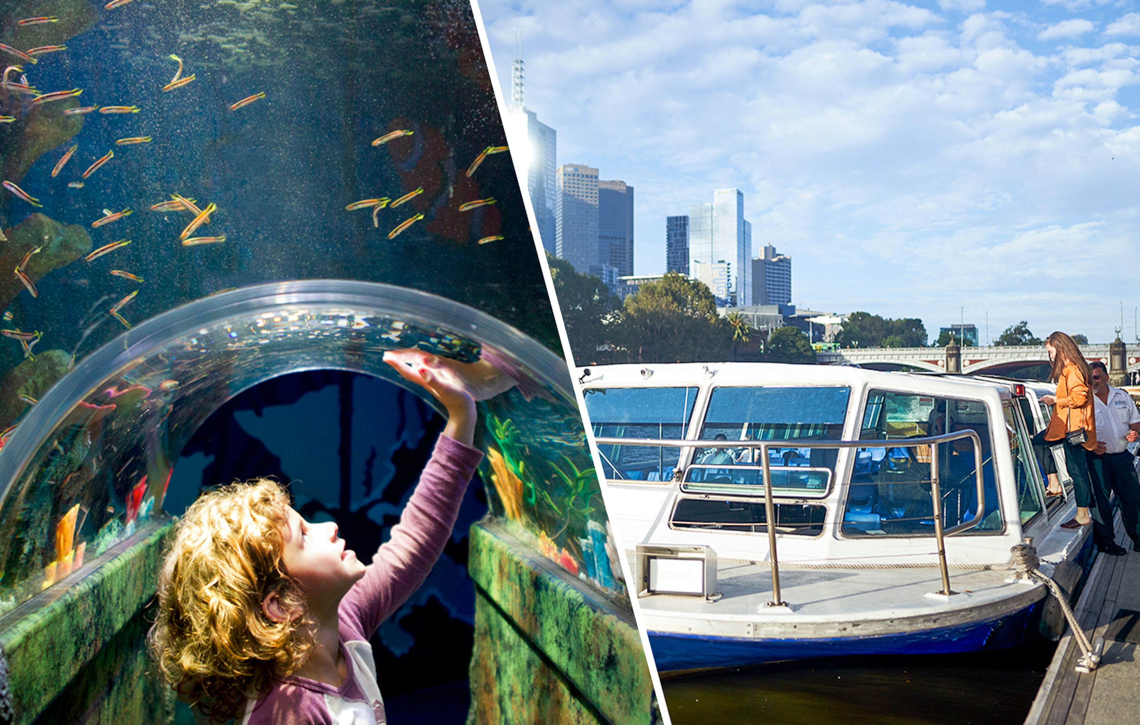 SEA LIFE Melbourne Aquarium tunnel and river cruise boat with city skyline.