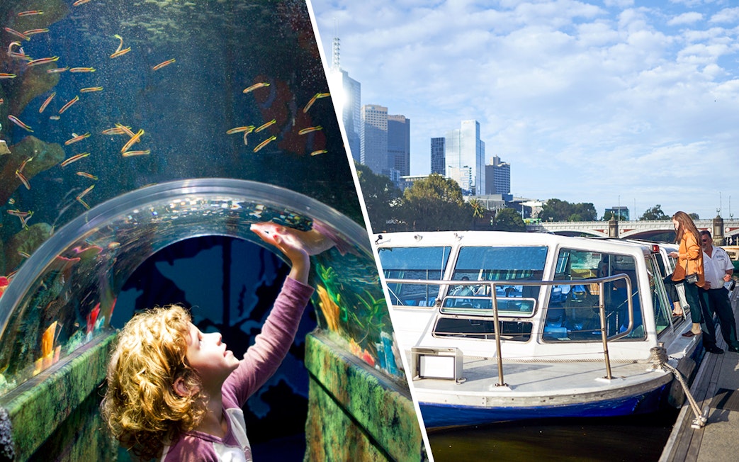 SEA LIFE Melbourne Aquarium tunnel and river cruise boat with city skyline.