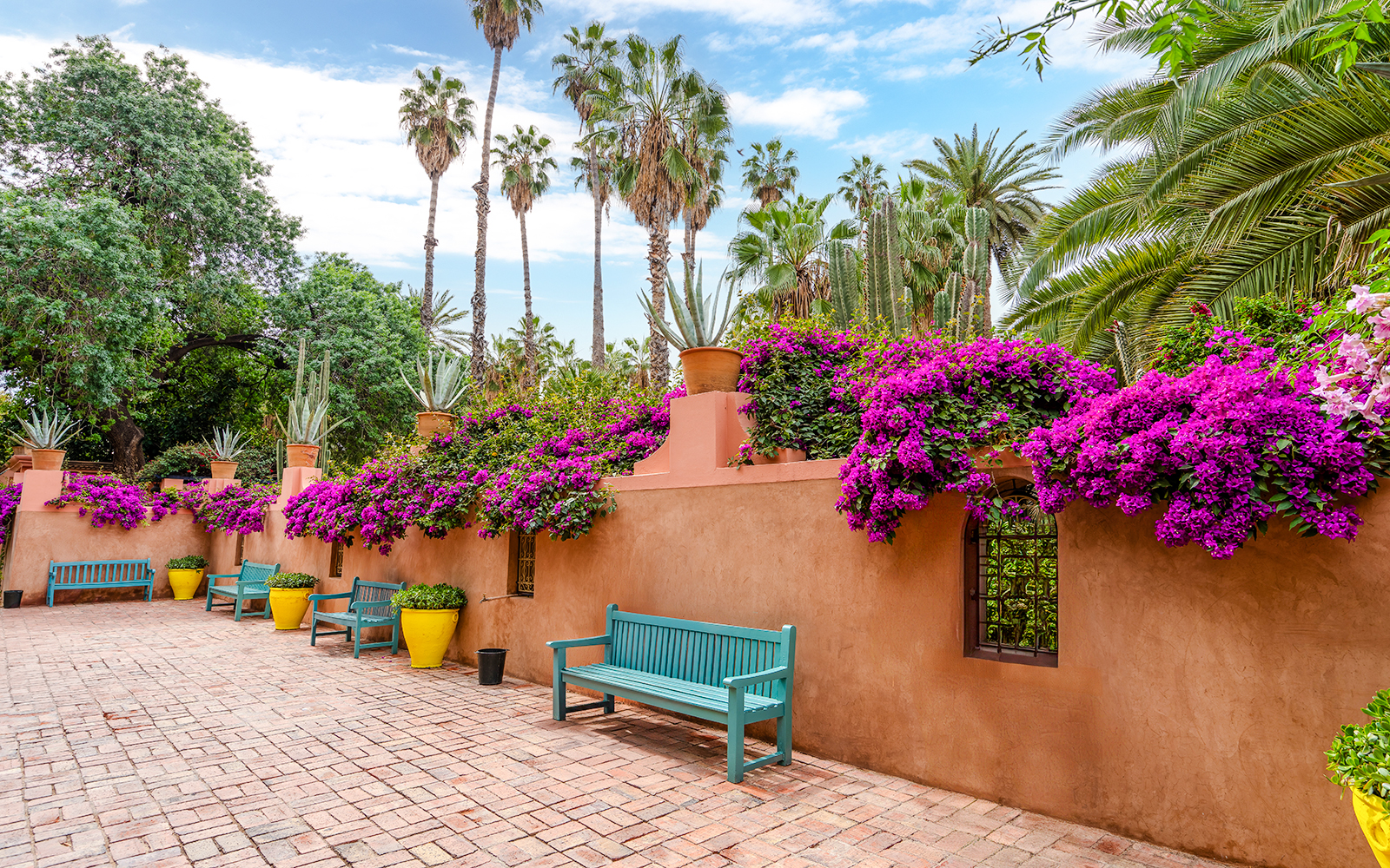 Jardin Majorelle courtyard with vibrant bougainvillea, palm trees, and colorful benches.