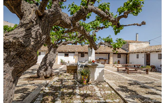alcamo: chiarelli rossotti organic winery tour with wine tasting & sicilian food pairing-5