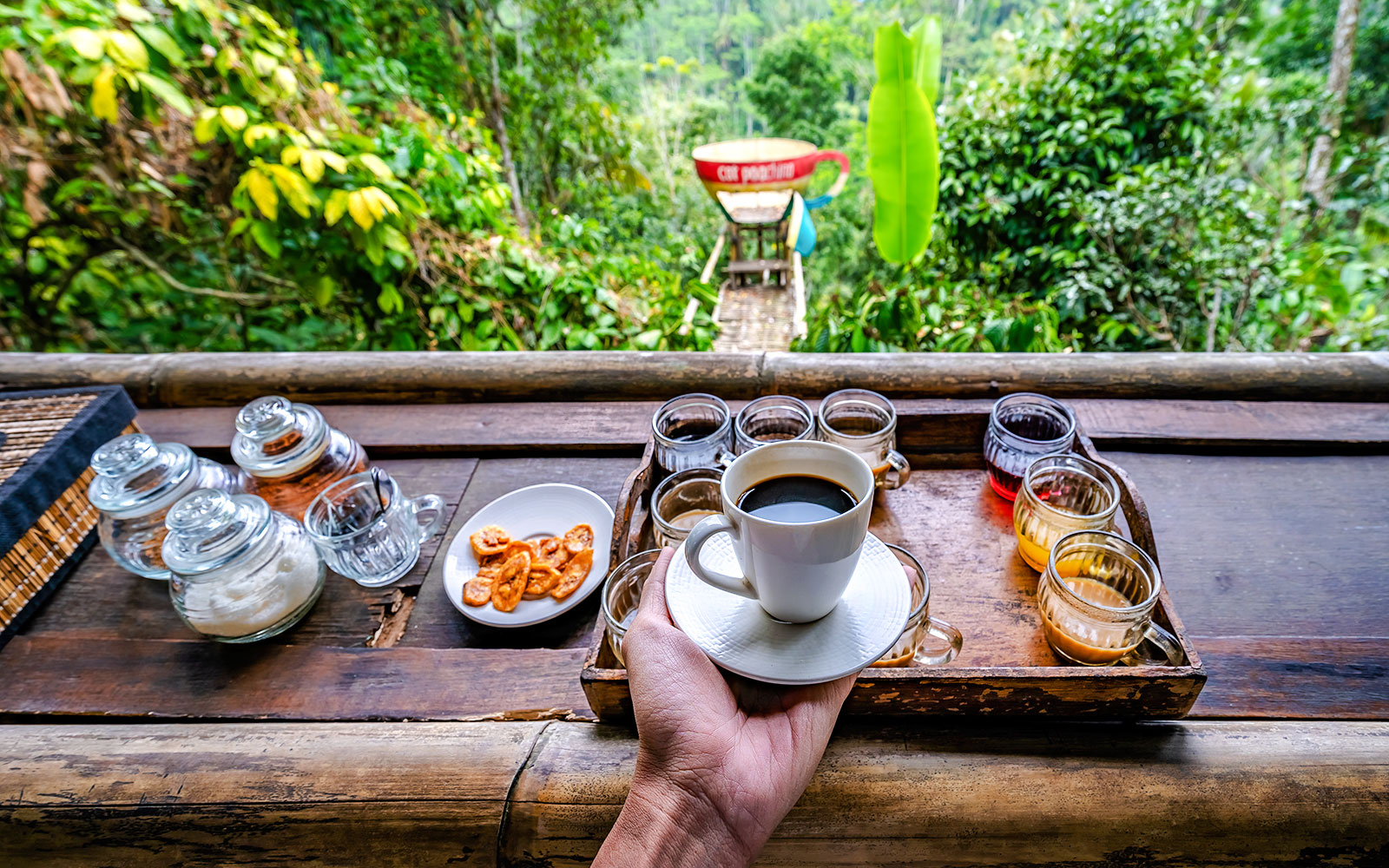 Luwak coffee tasting setup with various samples and a cup in a lush Bali setting.
