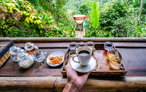 Luwak coffee tasting setup with various samples and a cup in a lush Bali setting.