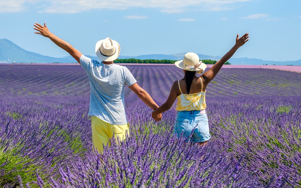 Couple holding hands in a lavender field in Provence, France.