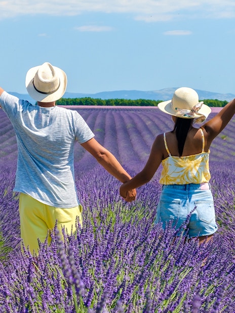 Couple holding hands in a lavender field in Provence, France.