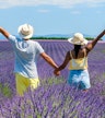 Ufficio del Turismo di Avignone